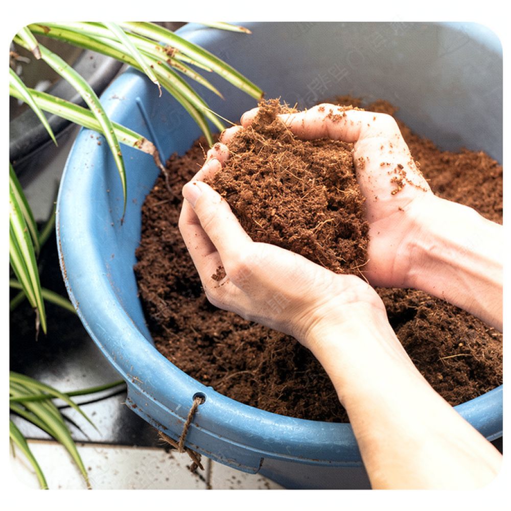 High Absorption Coconut Coir S - Substrate Coconut Fiber ulasan dan harga